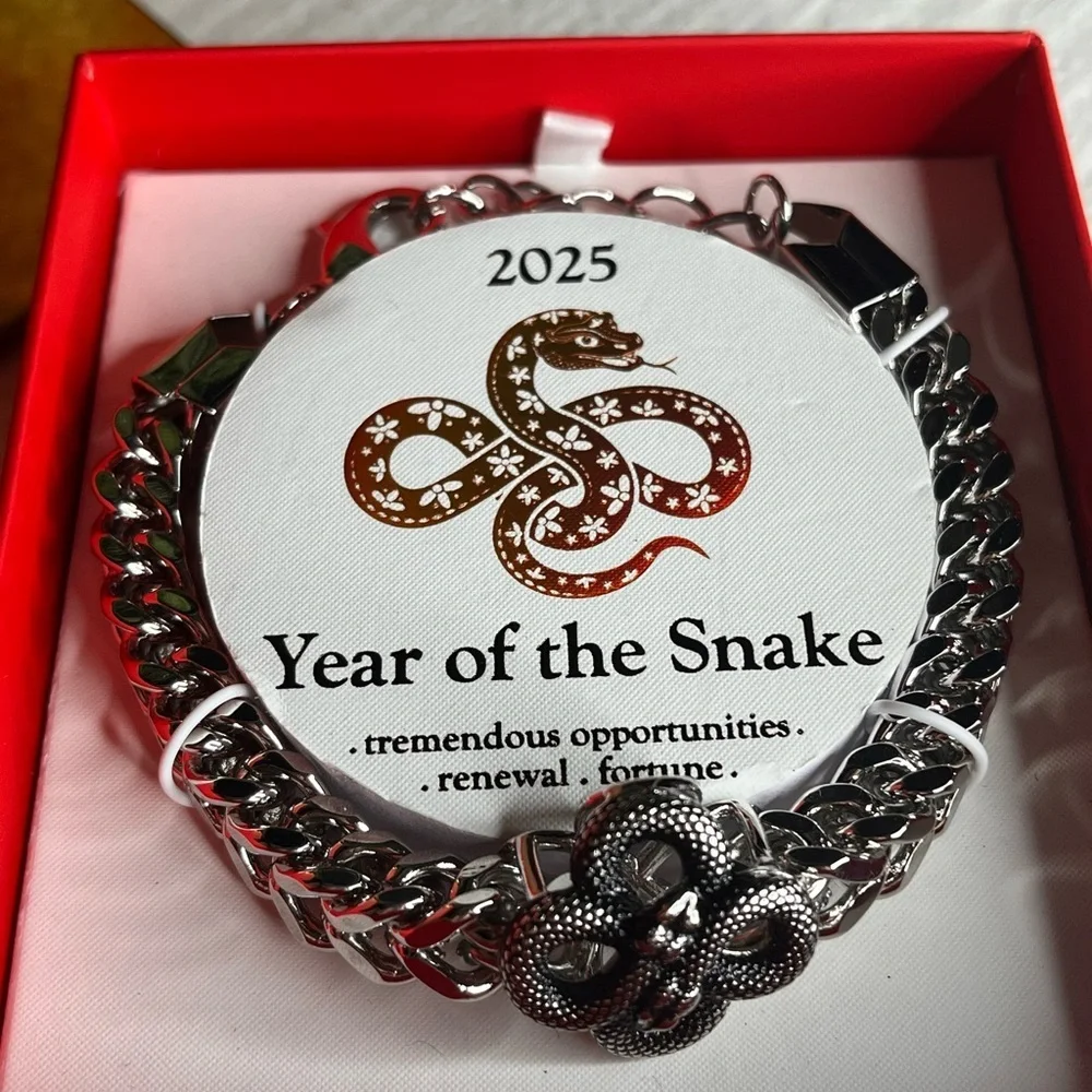 Year of the Snake Chain Link Bracelet Black Silver Tone NWT 2025